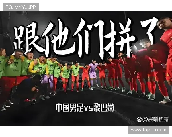 默契配合的足球明星如何在赛场上创造奇迹与辉煌成就